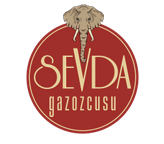 Sevda Gazoz